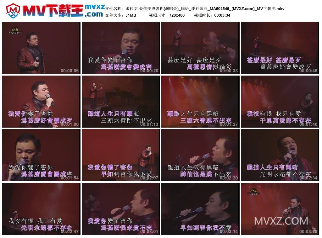 张伟文-爱你变成害你(演唱会)_国语_流行歌曲_MA502545